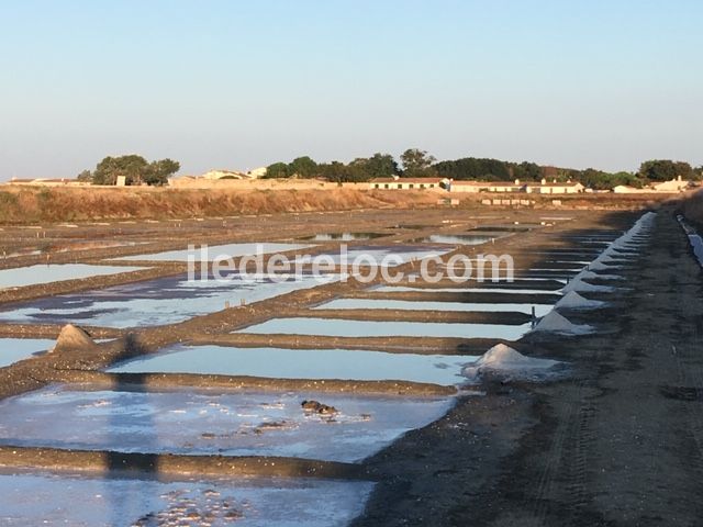 Photo 35 : EXTERIEUR d'une maison située à Loix, île de Ré.