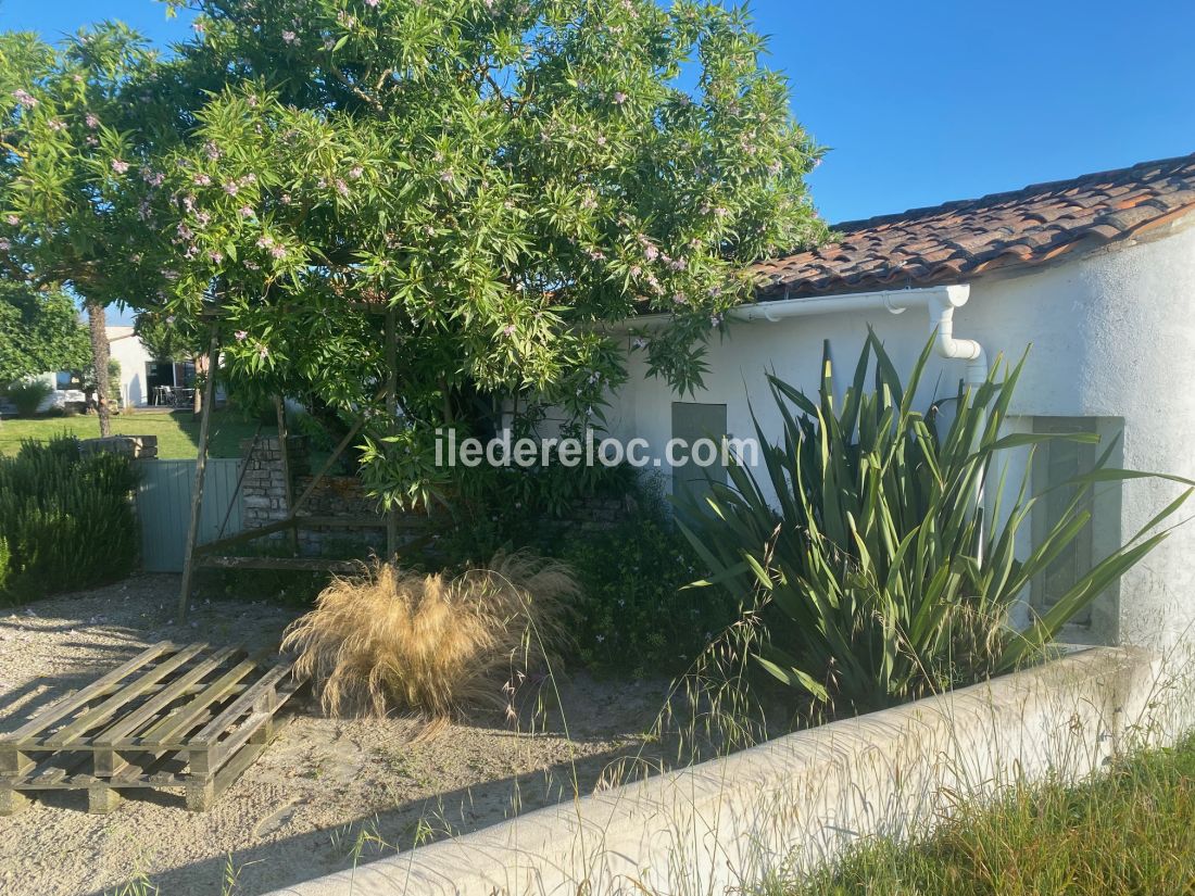 Photo 34 : TERRASSE d'une maison située à Loix, île de Ré.