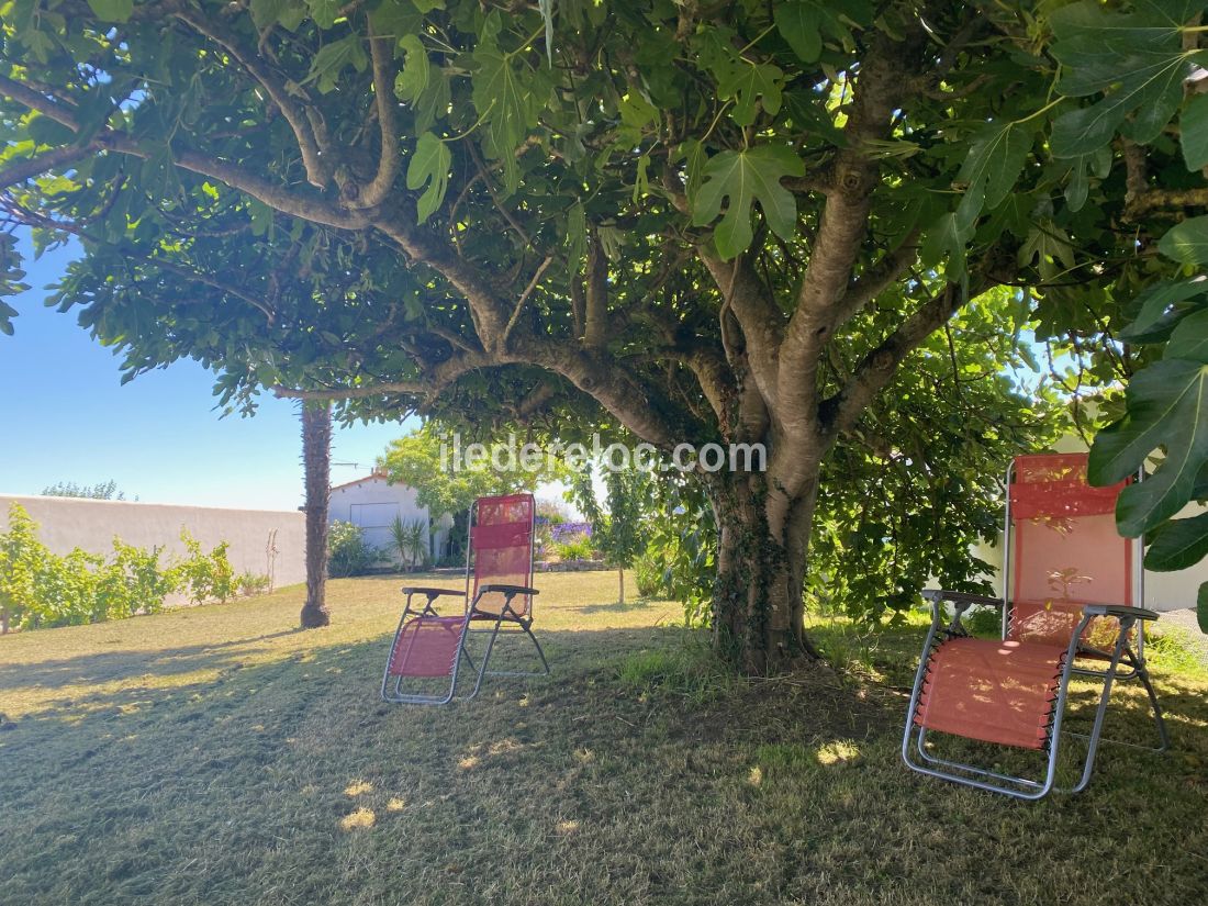 Photo 50 : EXTERIEUR d'une maison située à Loix, île de Ré.