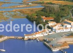 Photo 18 : EXTERIEUR d'une maison située à Loix, île de Ré.