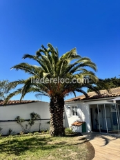 Ile de Ré:La maison des courlis