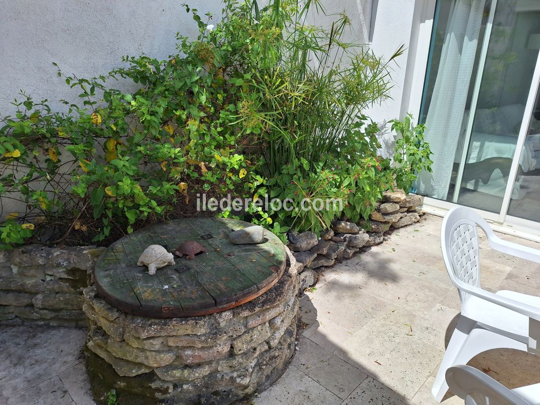 Photo 3 : TERRASSE d'une maison située à Les Portes-en-Ré, île de Ré.