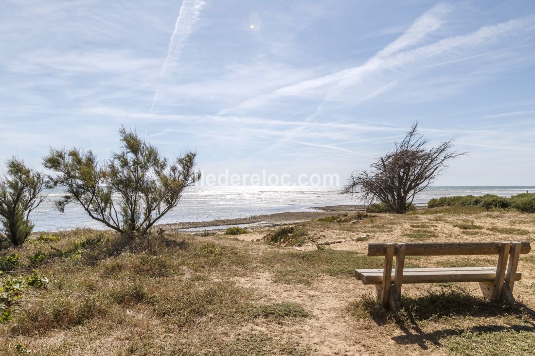 Photo 18 : EXTERIEUR d'une maison située à Sainte-Marie-de-Ré, île de Ré.