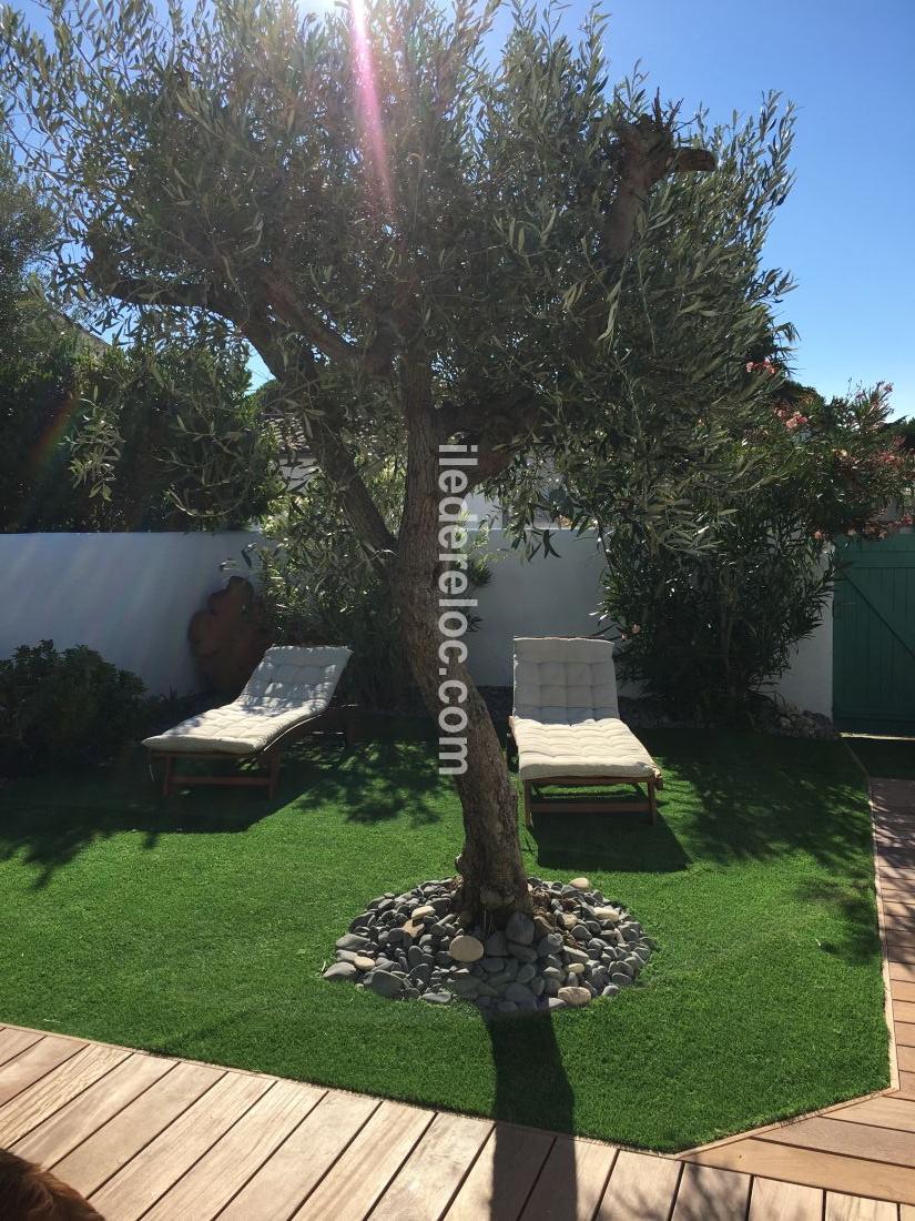 Photo 2 : TERRASSE d'une maison située à La Couarde-sur-mer, île de Ré.