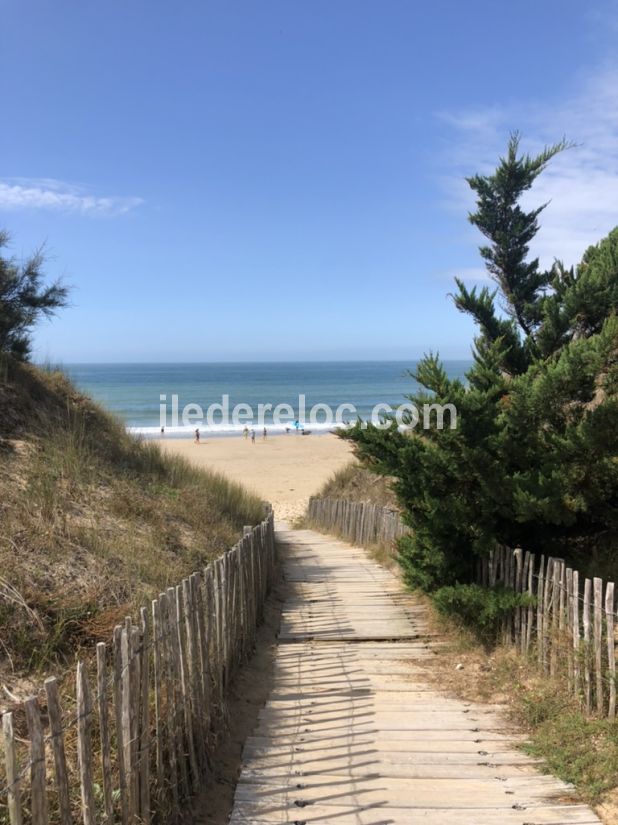 Photo 22 : AUTRE d'une maison située à Loix, île de Ré.