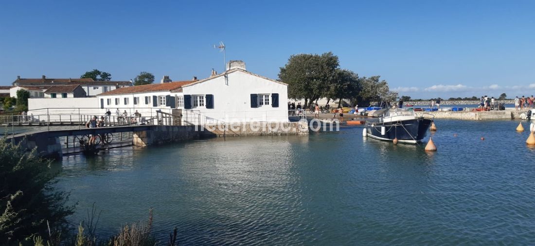 Photo 21 : AUTRE d'une maison située à Loix, île de Ré.