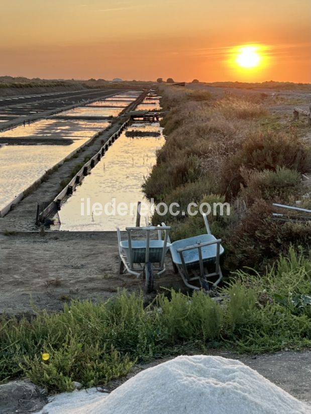 Photo 19 : AUTRE d'une maison située à Loix, île de Ré.