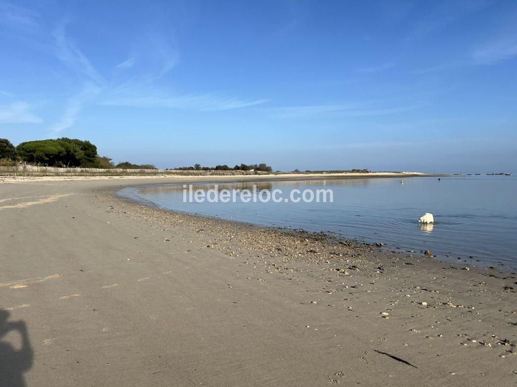 Photo 20 : AUTRE d'une maison située à Loix, île de Ré.