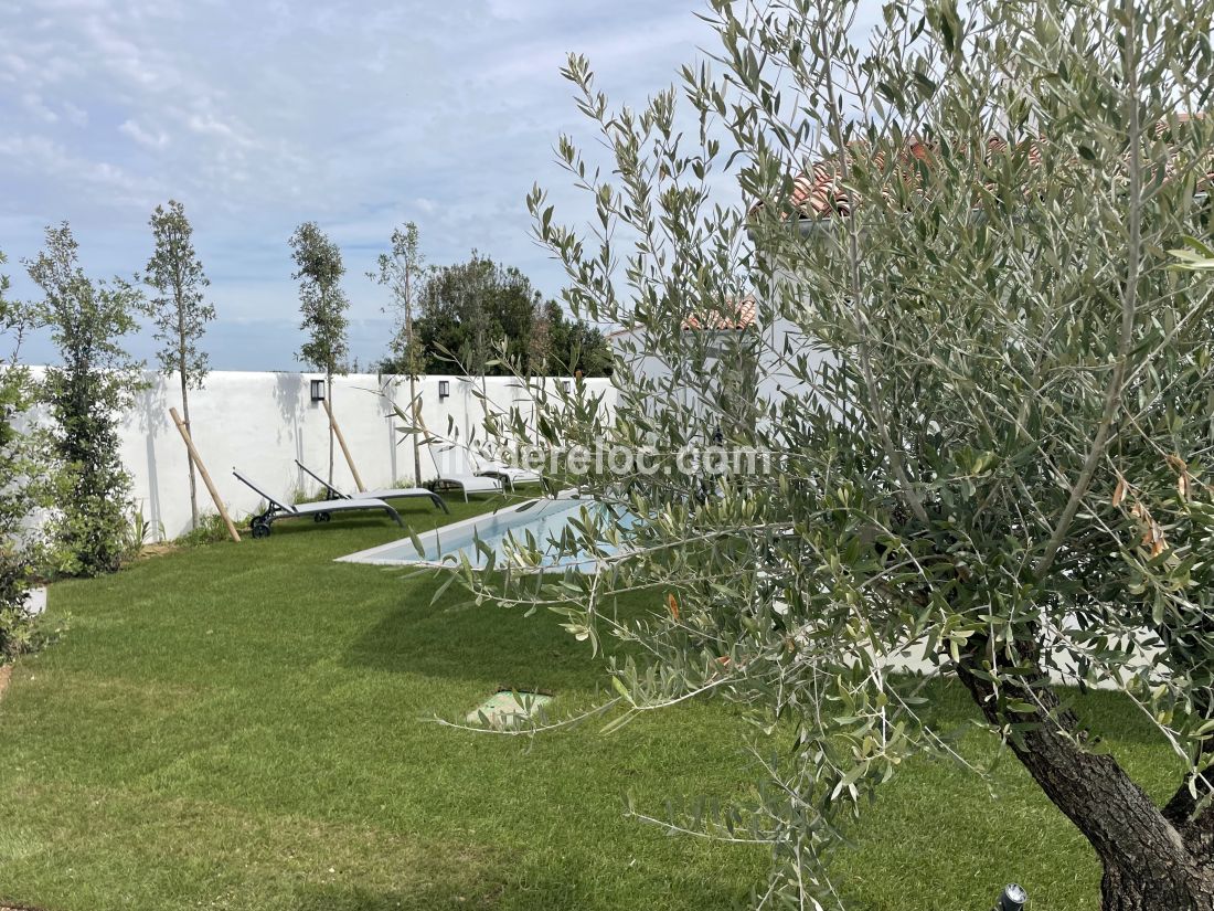 Photo 14 : JARDIN d'une maison située à Le Bois-Plage-en-Ré, île de Ré.