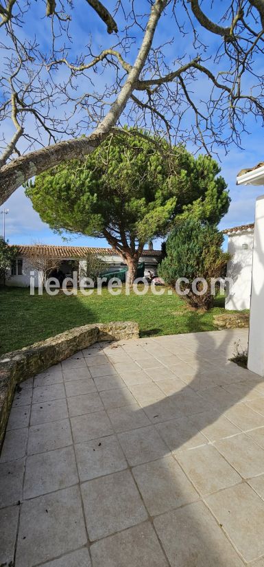 Photo 27 : NC d'une maison située à Loix, île de Ré.