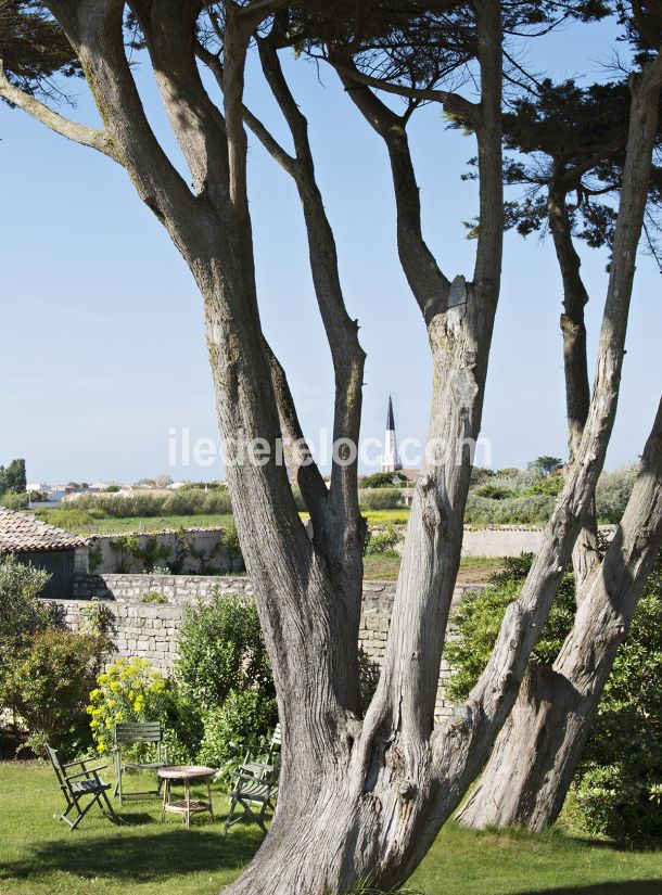 Photo 6 : NC d'une maison située à Ars en Ré, île de Ré.