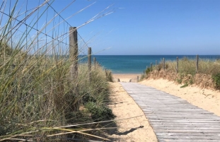 Ile de Ré:Violette