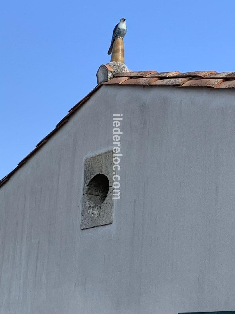 Photo 4 : PATIO d'une maison située à Le Bois-Plage-en-Ré, île de Ré.