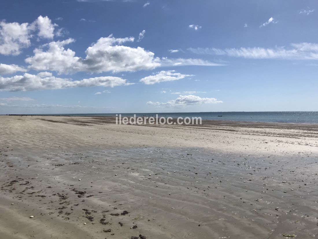 Photo 17 : NC d'une maison située à La Couarde-sur-mer, île de Ré.