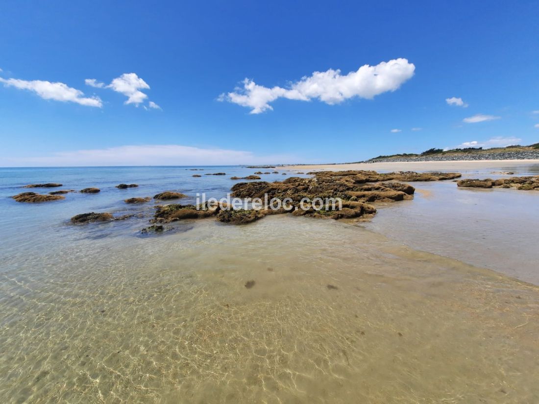 Photo 13 : NC d'une maison située à La Couarde-sur-mer, île de Ré.