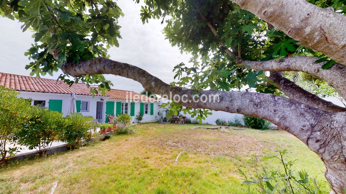 Photo 4 : NC d'une maison située à Ars en Ré, île de Ré.