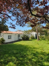 Ile de Ré:La pinelière des marais