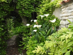 Ile de Ré:225m2 maison 6 pers. 3 ch. sur parcelle 700m2