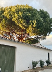 Ile de Ré:Villa la couarde sur mer