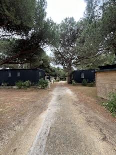 Ile de Ré:Location mobil home 35m2 3 chambbres 6 couchages acces direct a la plage