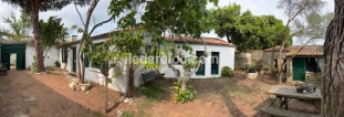 Ile de Ré:Belle maison rétaise au calme avec jardin