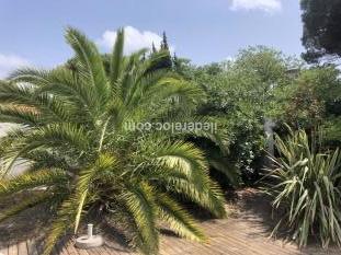 Ile de Ré:Maison grand jardin boisé proche plage